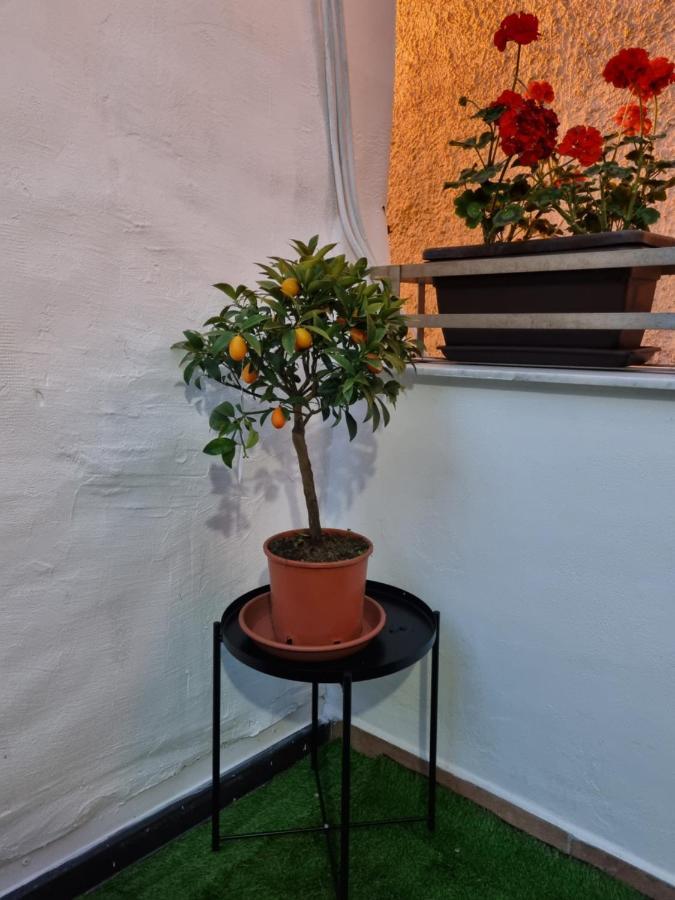 Giardino Moreno Palermo Exterior foto